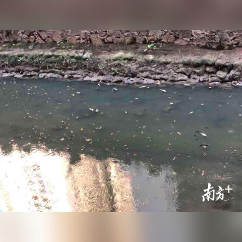 对答如流
