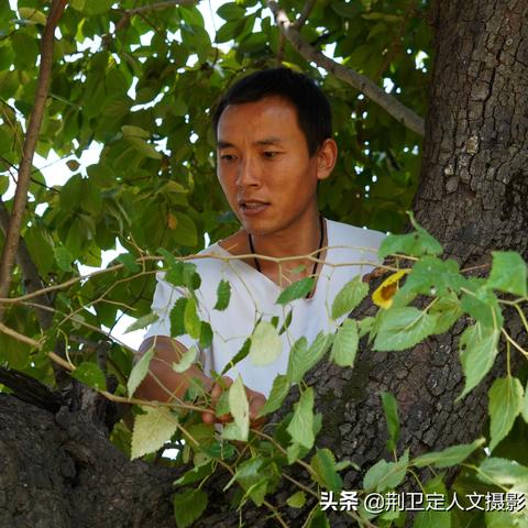 山西初中升学新政解析，多元评价，助力学生全面发展